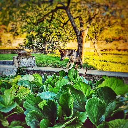 Country house Casa El Rozado *