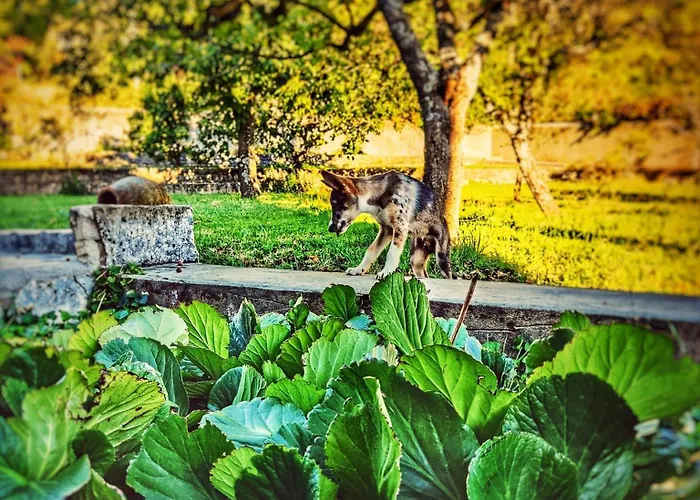 Casa rural Casa El Rozado *